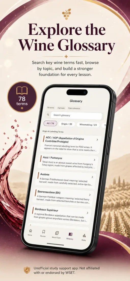 Wine glossary screen with searchable terms grouped by topic